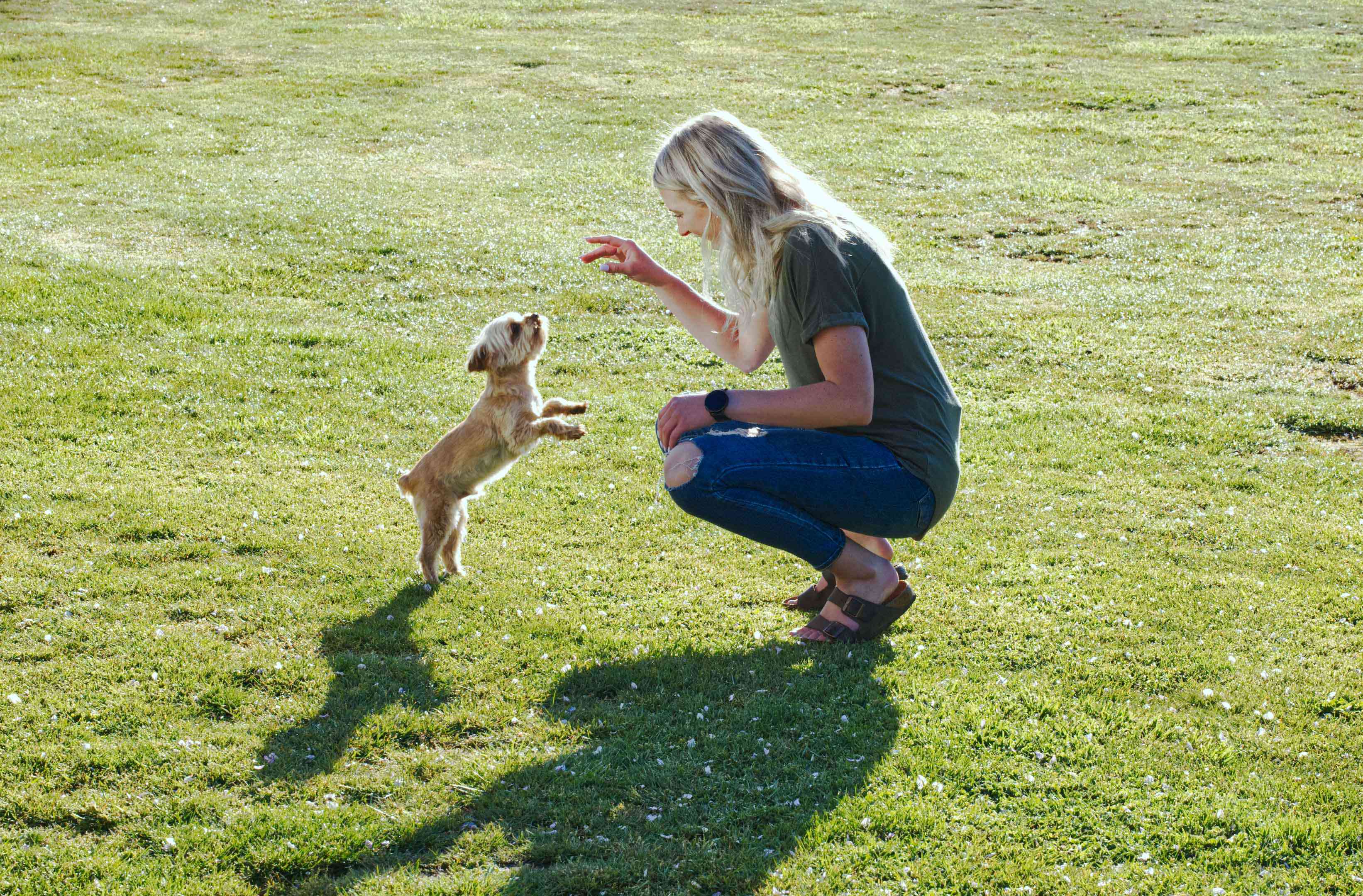 白肤金发的妇女和小狗在玩外面在绿色草坪时执行技巧“width=