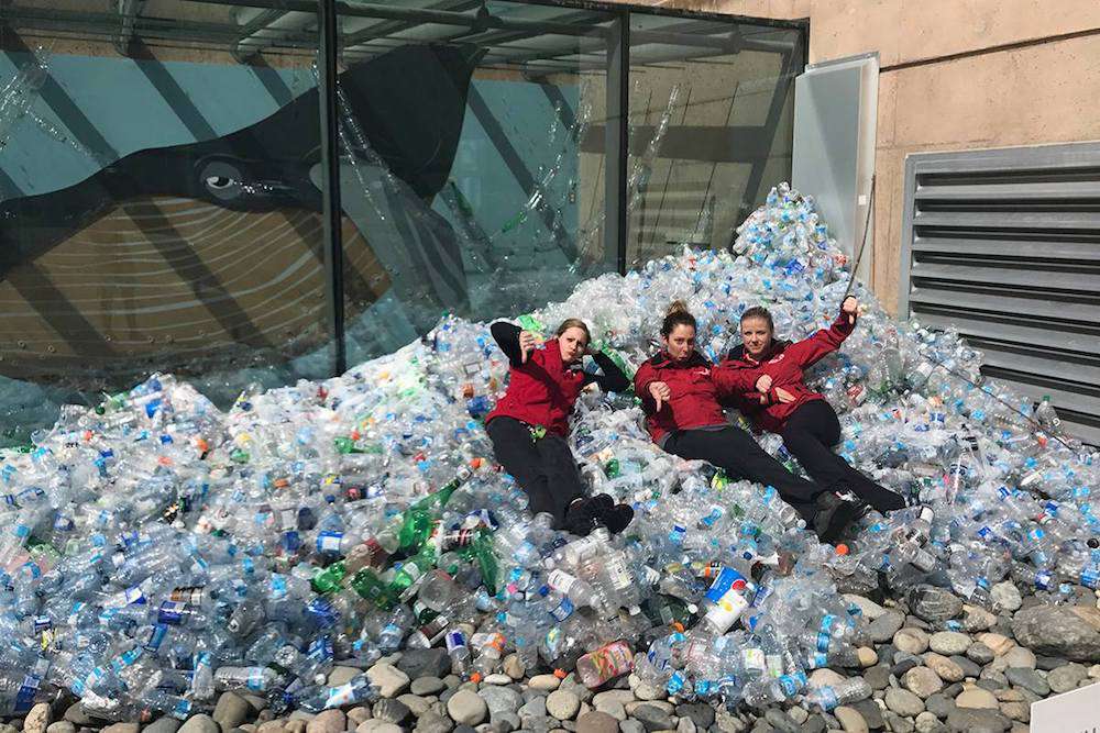 温哥华水族馆的塑料浪潮
