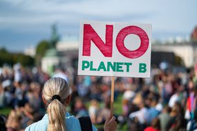 没有植物b，气候变化抗议