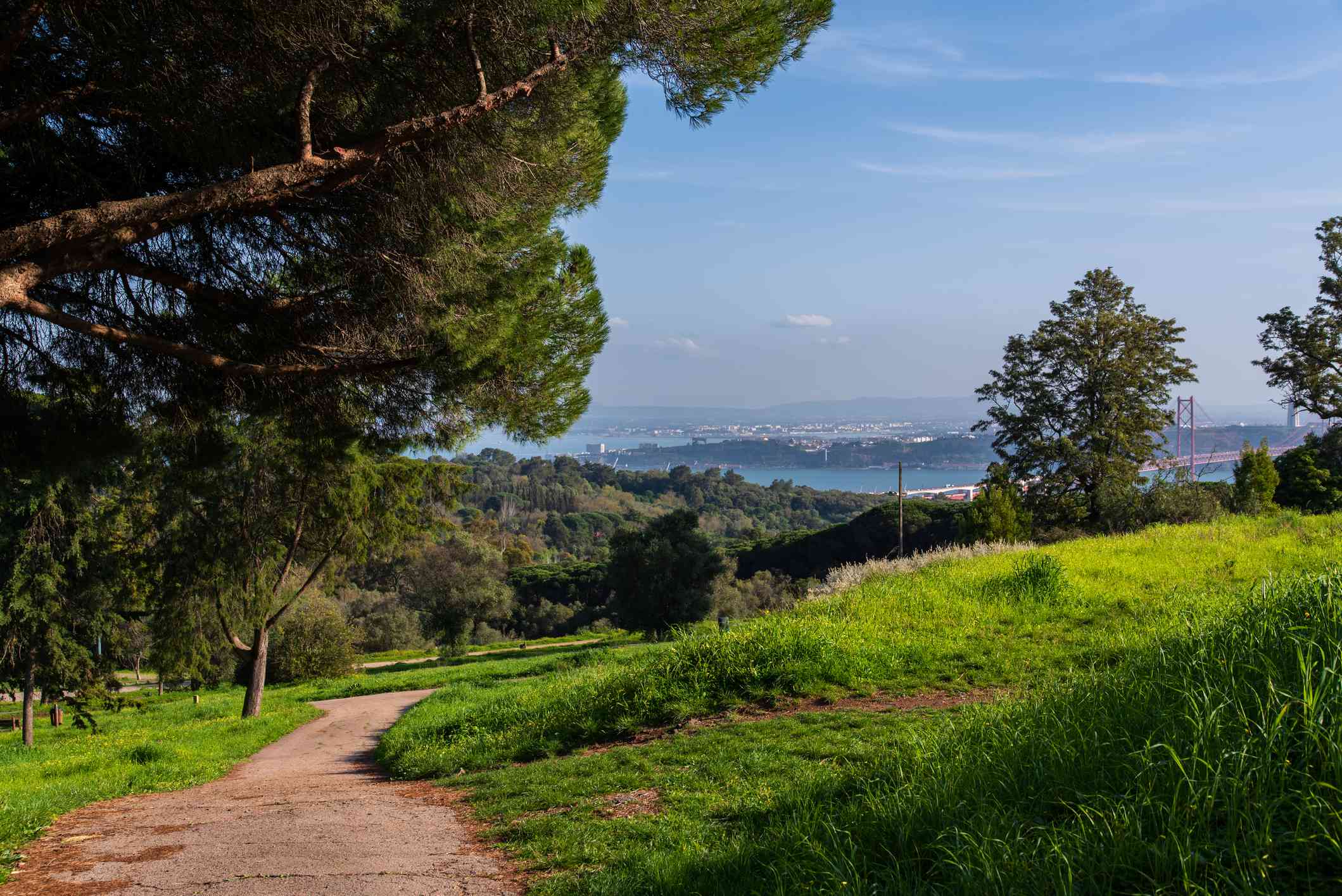 里斯本孟山都公园的一条小路，绿草如茵，绿树成荫，可以看到远处的大海
