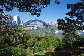 从温蒂的秘密花园俯瞰悉尼海港大桥和海港，这是一个海滨花园，充满了茂盛的绿色植物，棕榈树和大型遮荫树