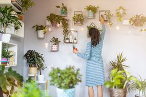 年轻女子伸手挂在墙上的盆栽植物