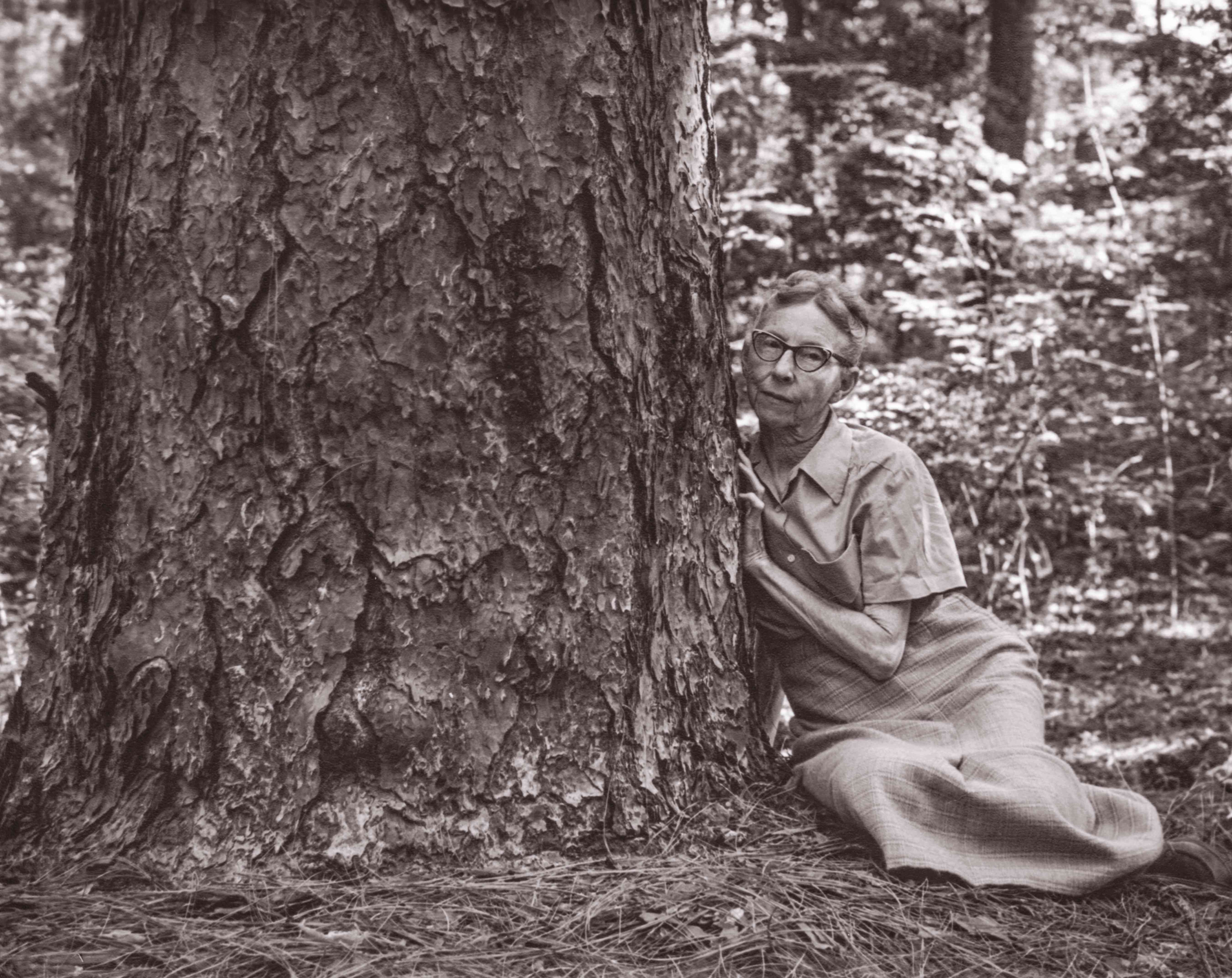 路易斯安那州博物学家卡罗琳·多尔门（Caroline Dormon）的肖像坐在巨大的树旁边