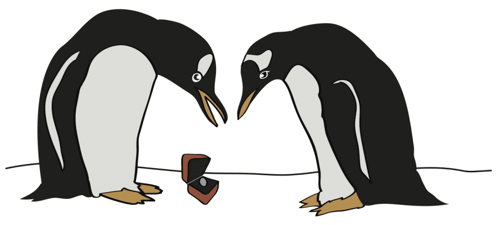 两次企鹅的绘画