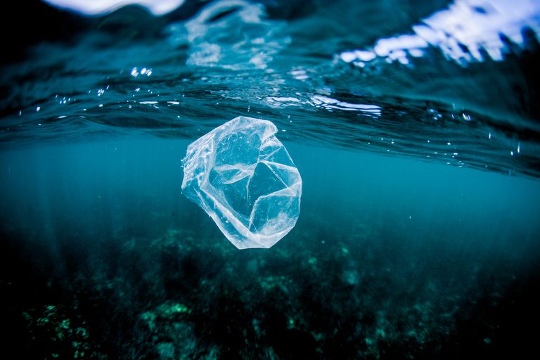塑料袋漂浮在海洋中的礁石上，哥斯达黎加