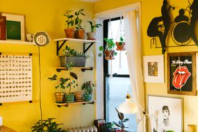 a nyc apartment filled with houseplants and artwork next to window