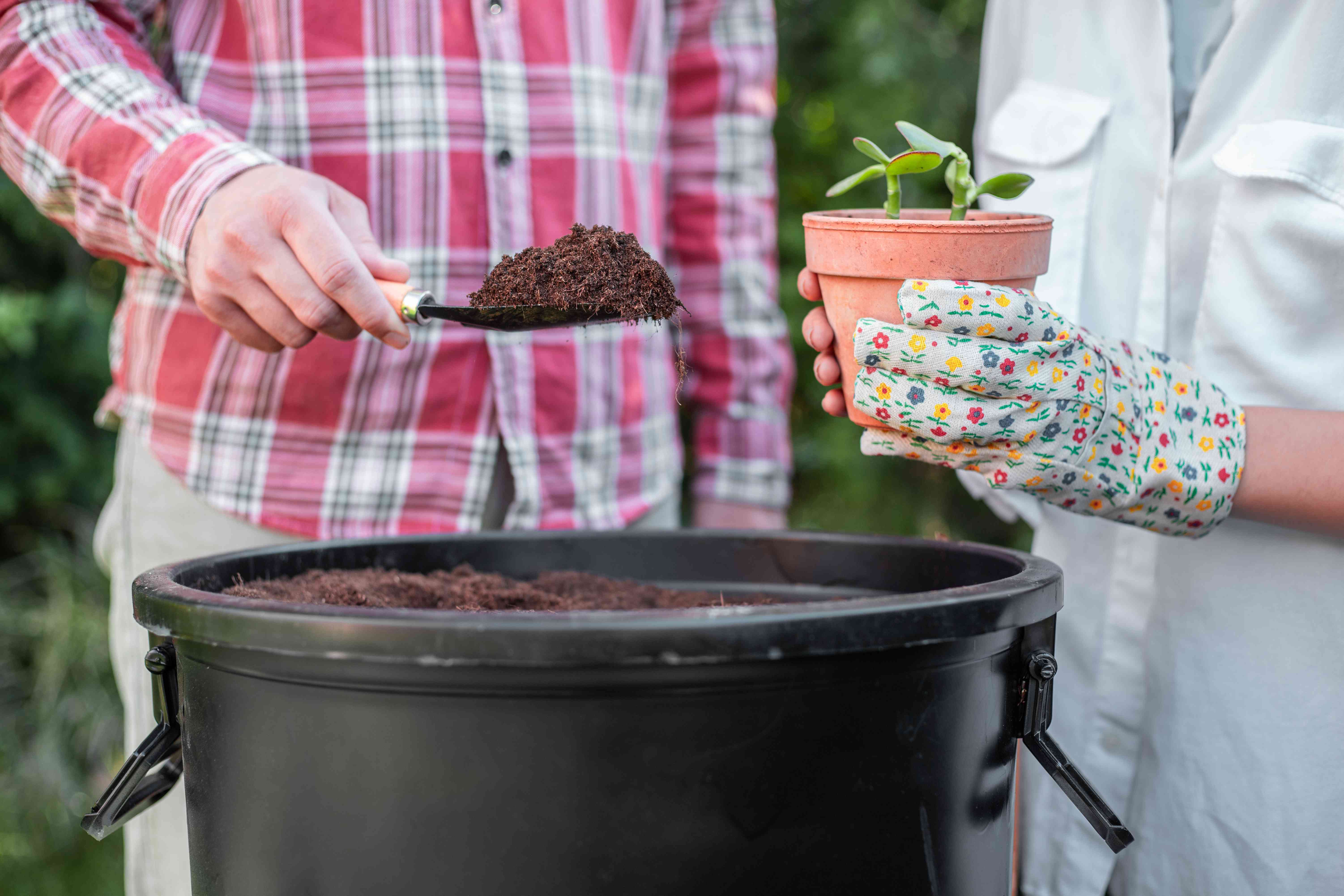 person in plaid shirt offers scoop of compost to gardener holding potted plant