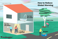您可以在房屋周围做的事情来减少全球变暖，例如种植树木和回收