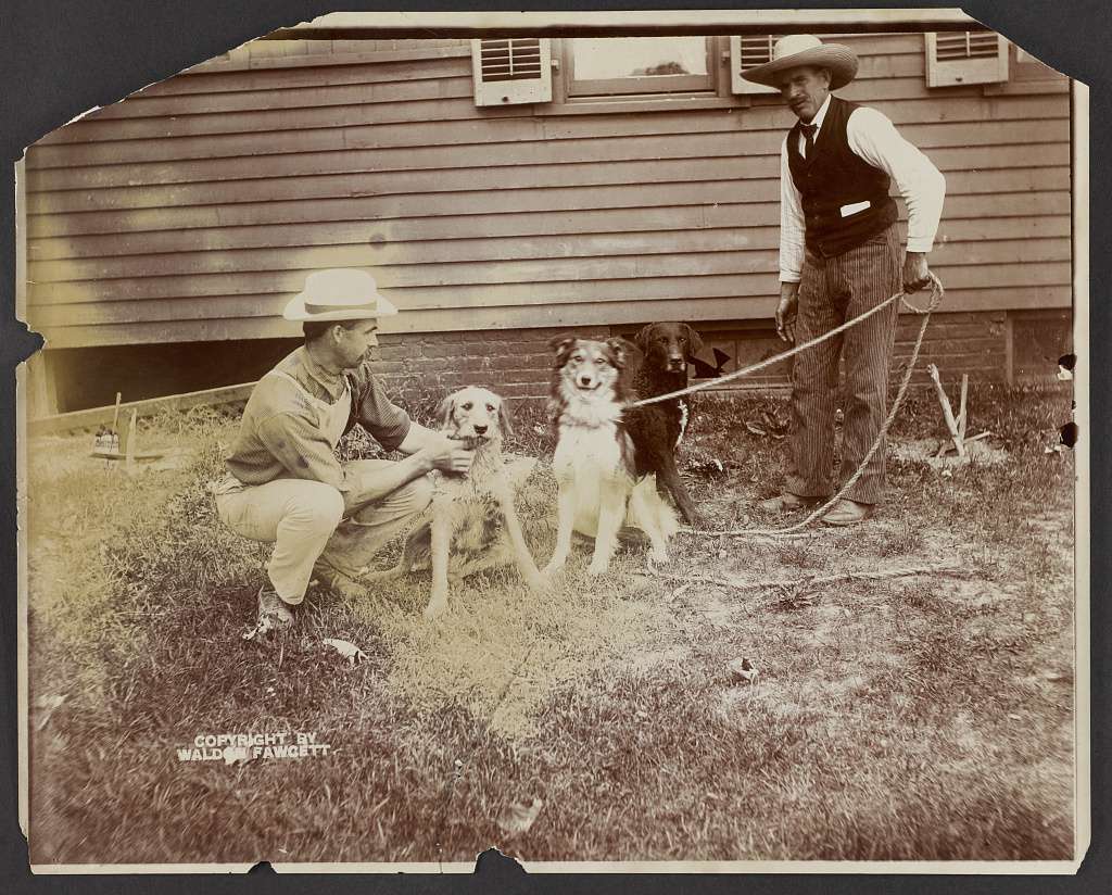 1903年，西奥多·罗斯福的三只狗和两个男人。