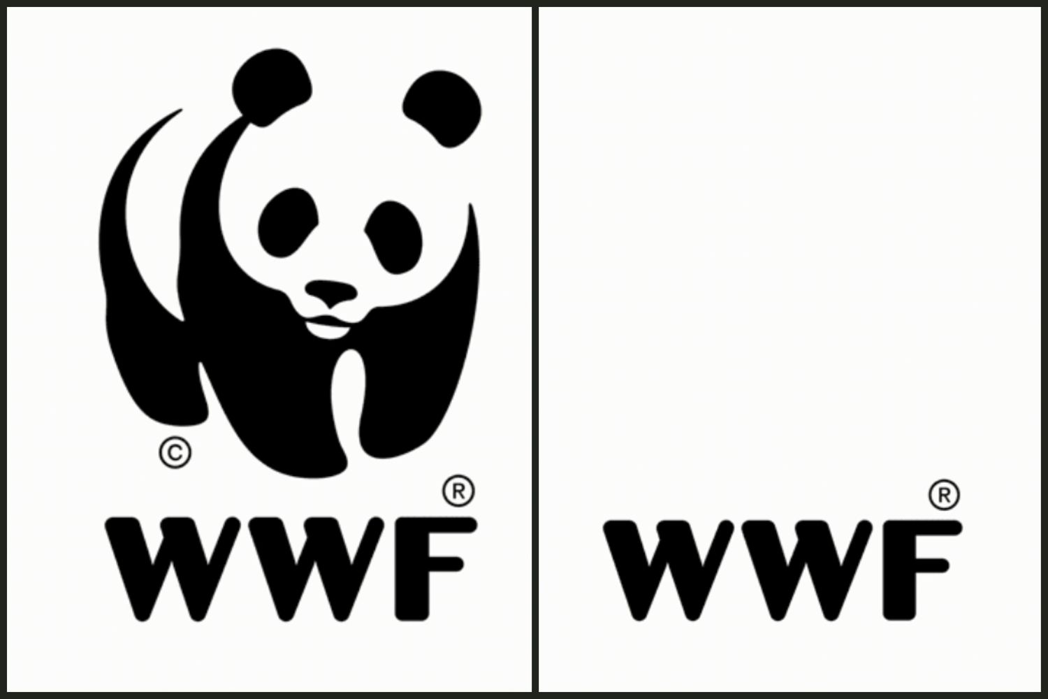 WWFF的logo有或没有熊猫＂>
          </noscript>
         </div>
        </div>
        <figcaption id=