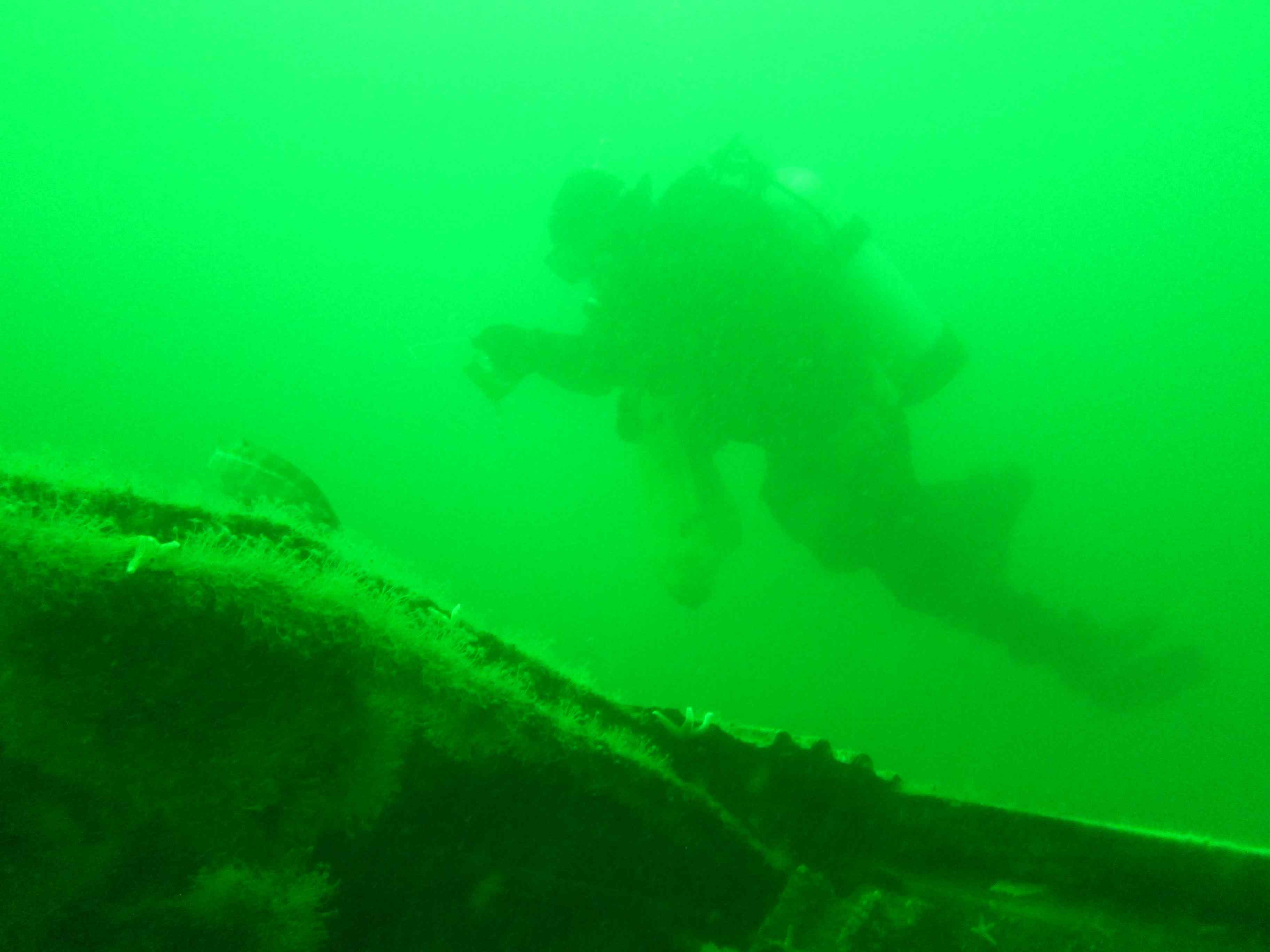 一名潜水员正在检查一辆被绿色海景珊瑚覆盖的水下地铁车厢