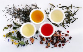 四种茶:黑茶、青茶、果茶、草本茶