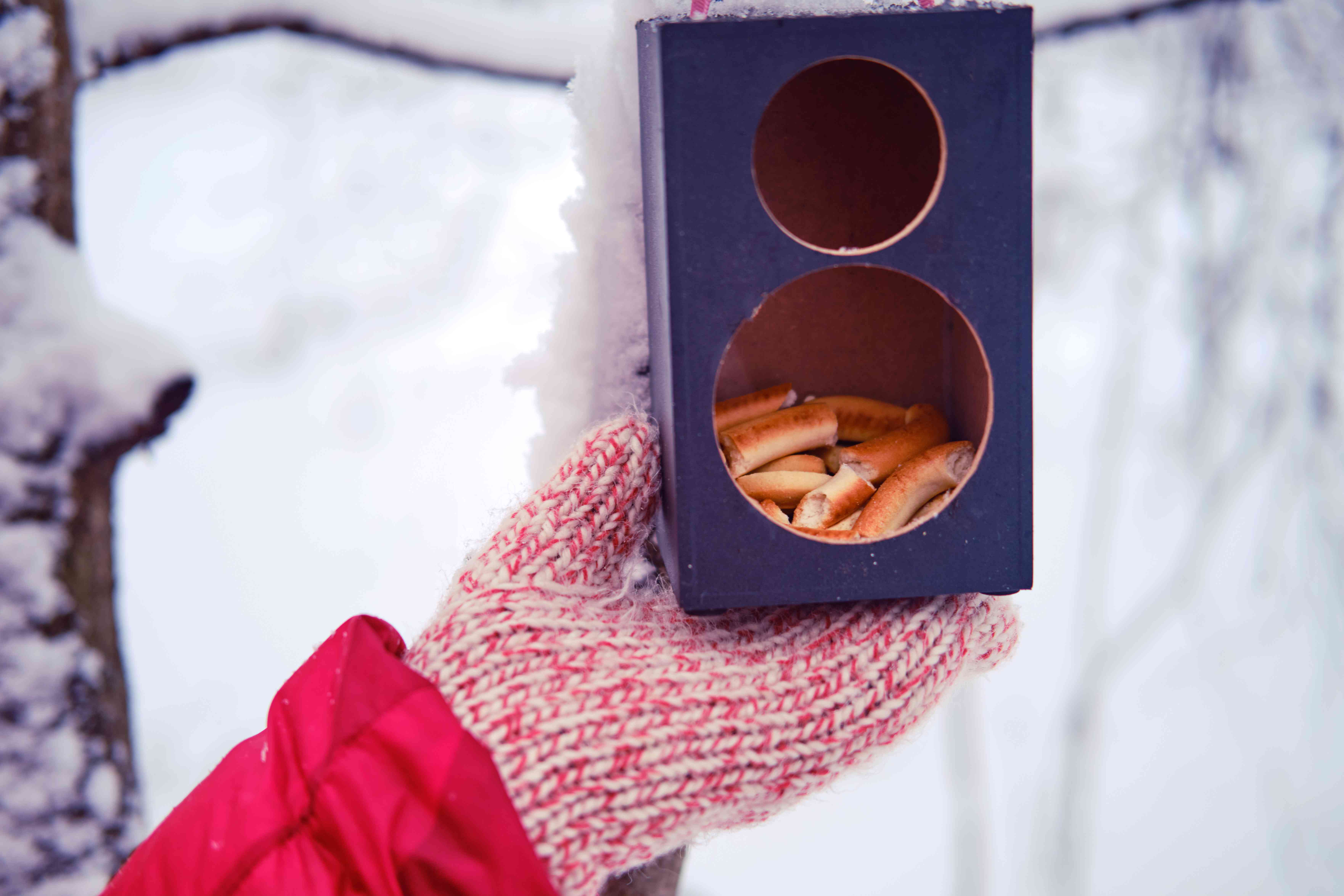 冬天在雪地里给鸟儿和女人喂面包。＂width=