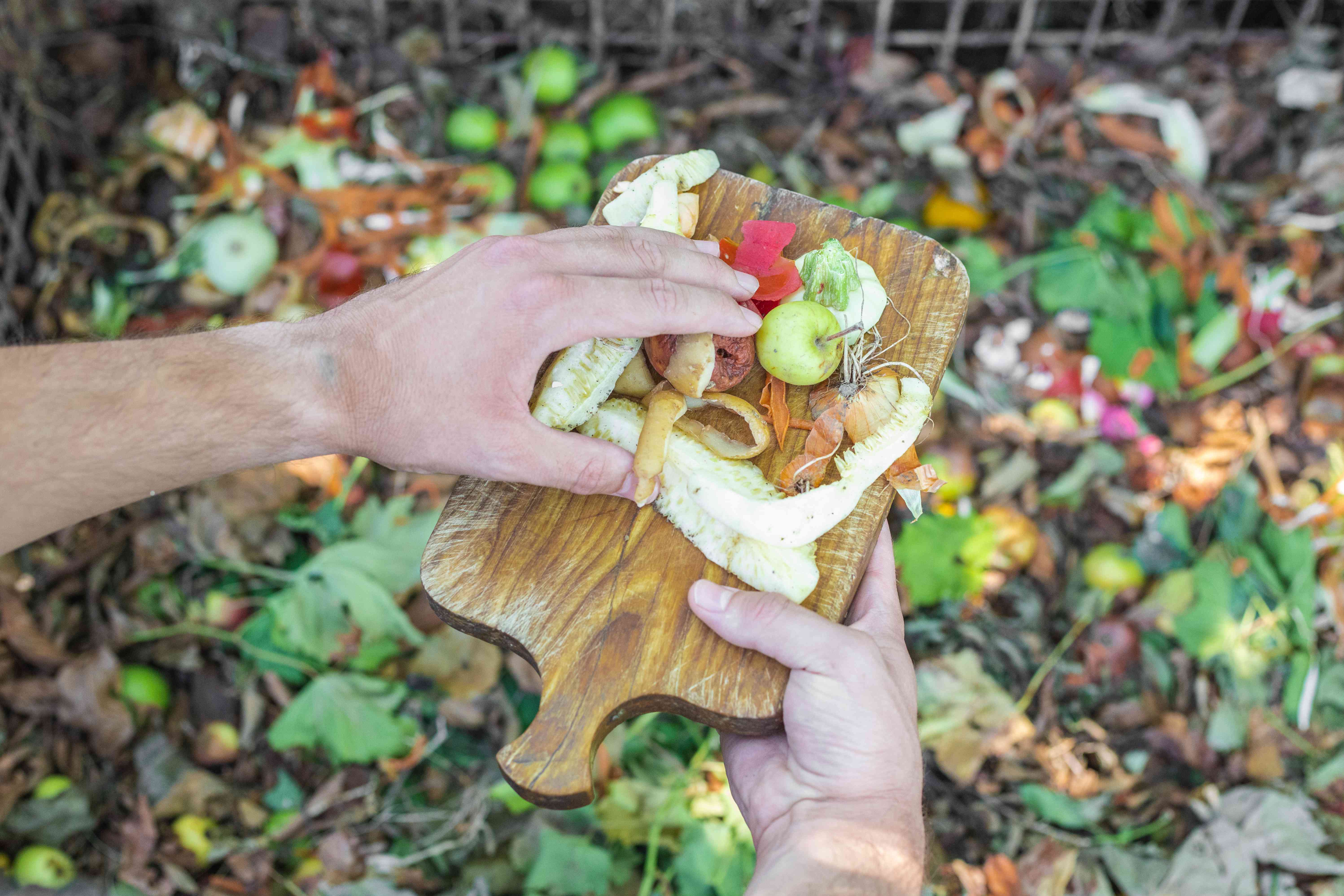 person scoops food scraps from cutting board into open air diy compost bin outside