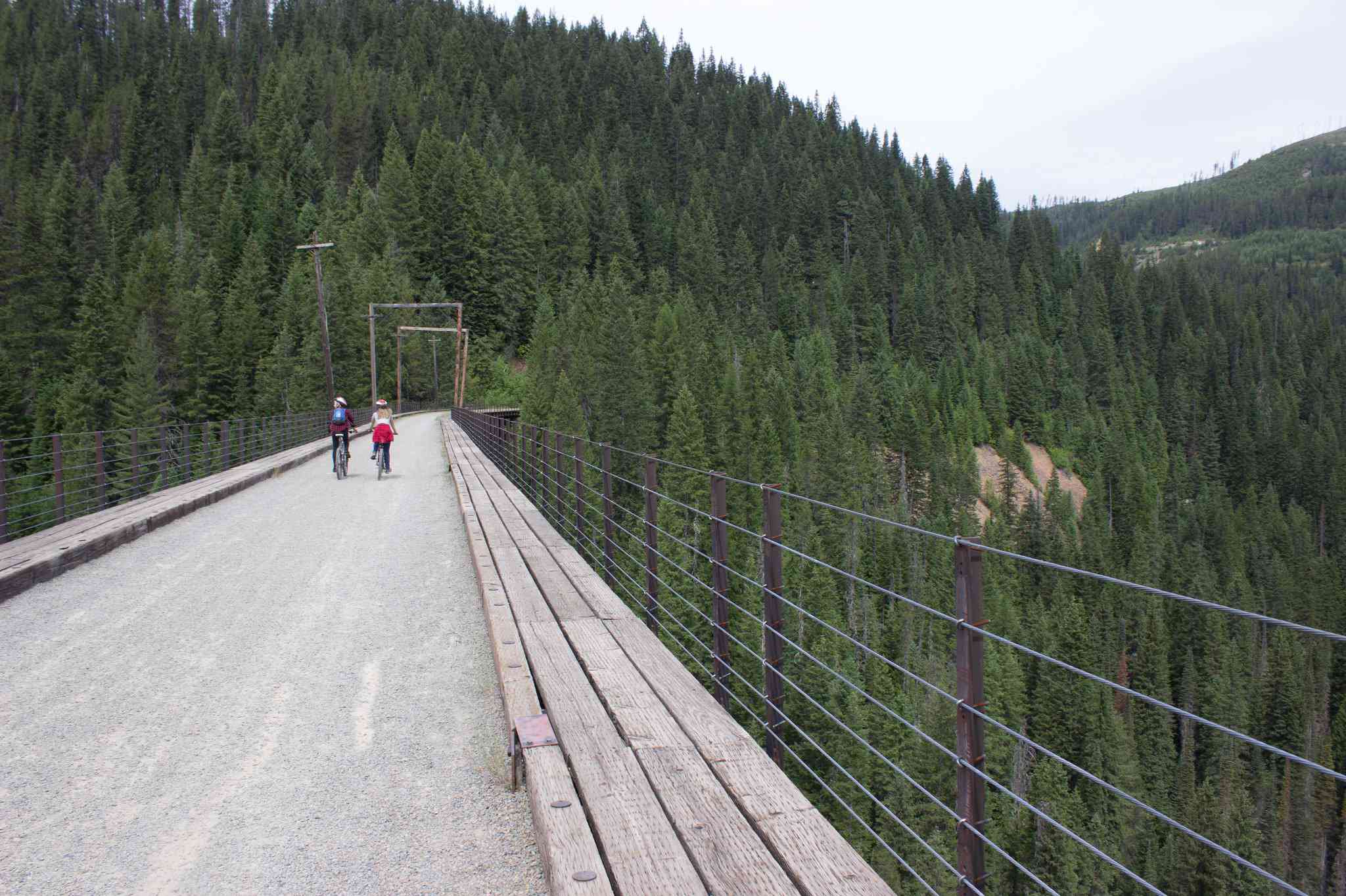 两个人骑着自行车穿过松林中的一座高桥