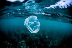 在海洋中浮动的塑料袋被海龟误认为是水母