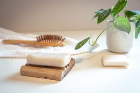 洗发水吧，木制刷子和锅坑植物用于绿色美容护理