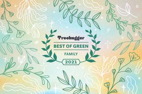 Best of green awards