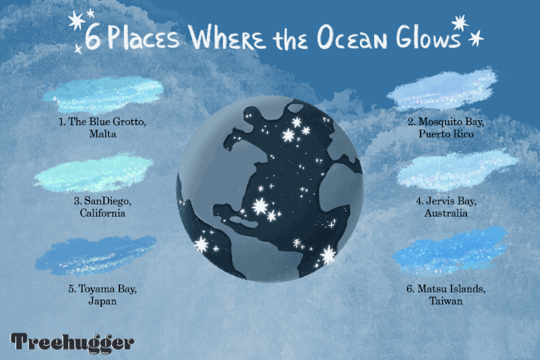 地球上的6个地方，海洋发光生物发光海湾Illo gif“class=