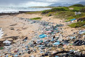塑料垃圾在海滩上