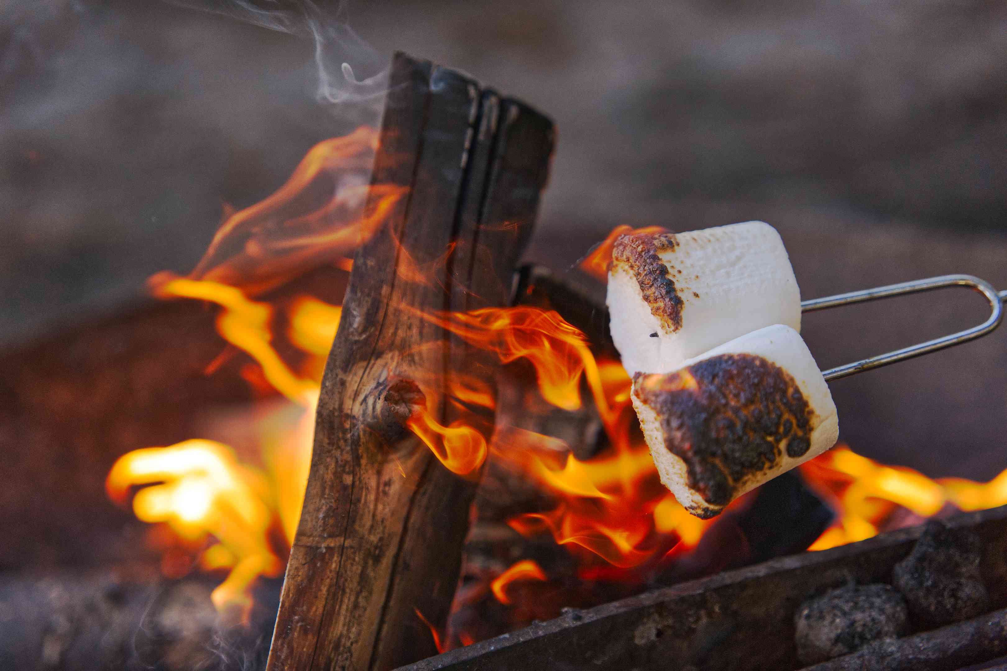 露营时两个棉花糖在篝火上烤的特写