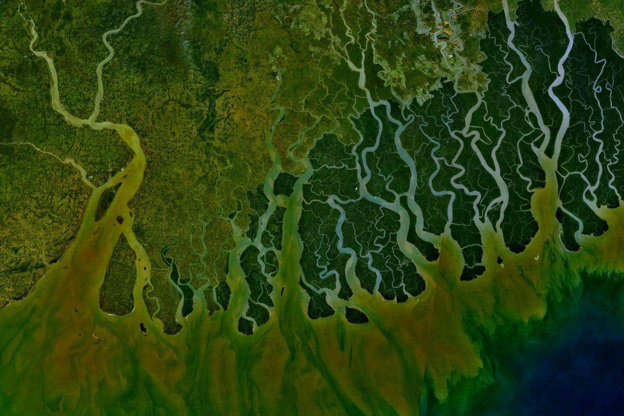 印度恒河三角洲的卫星视图
