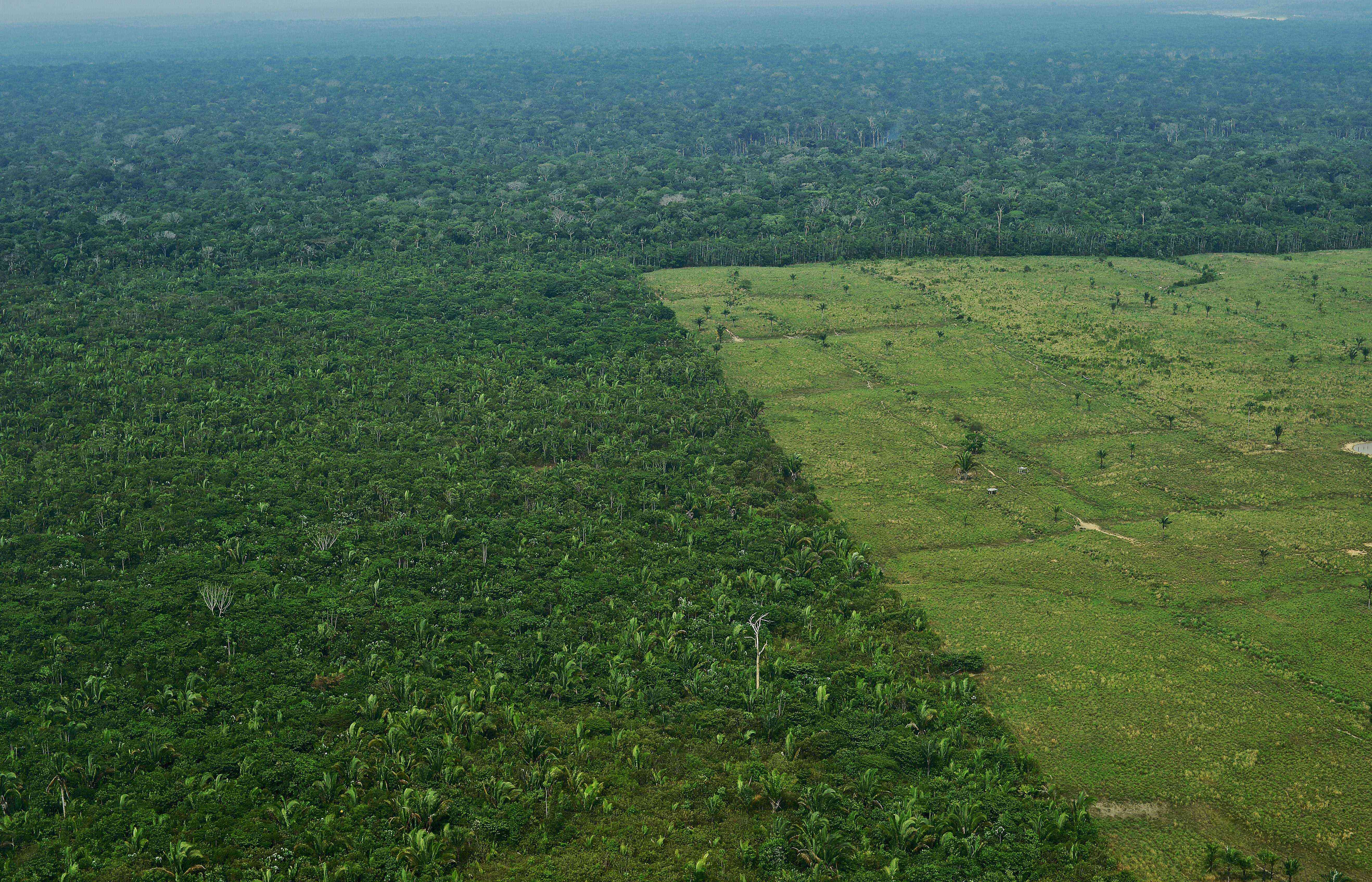 在2017年巴西西部的亚马逊雨林,森林砍伐