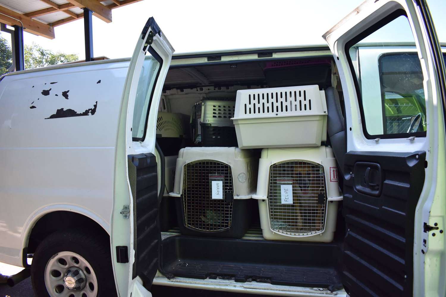 一辆货车装满动物到达从沿海卡罗来纳格林维尔避难所。