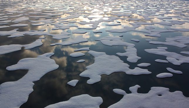 丘奇海中的海冰