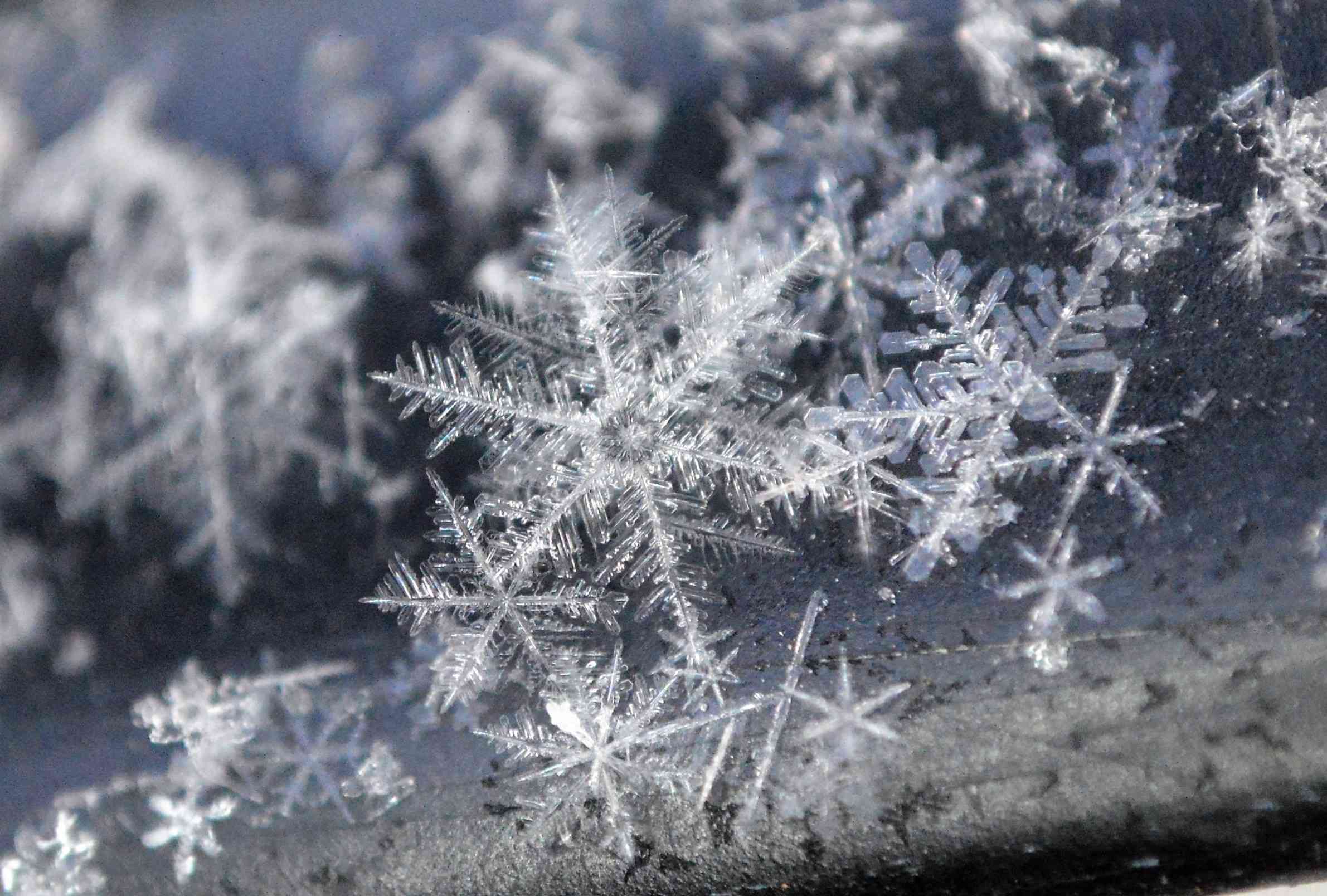 Macro Shot Of Snowflakes