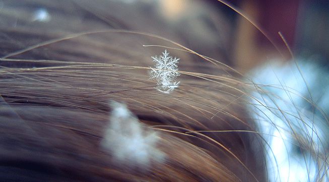 Snowflake lands in a person's hair