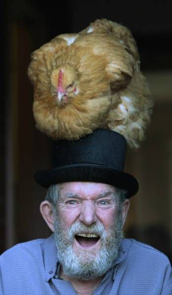 帽子上有鸡的老人