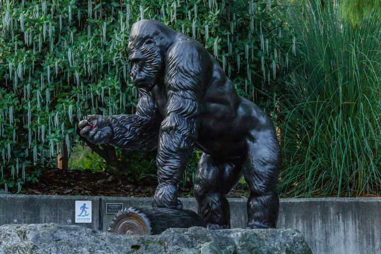 塔科马动物园里大猩猩伊万的铜像。