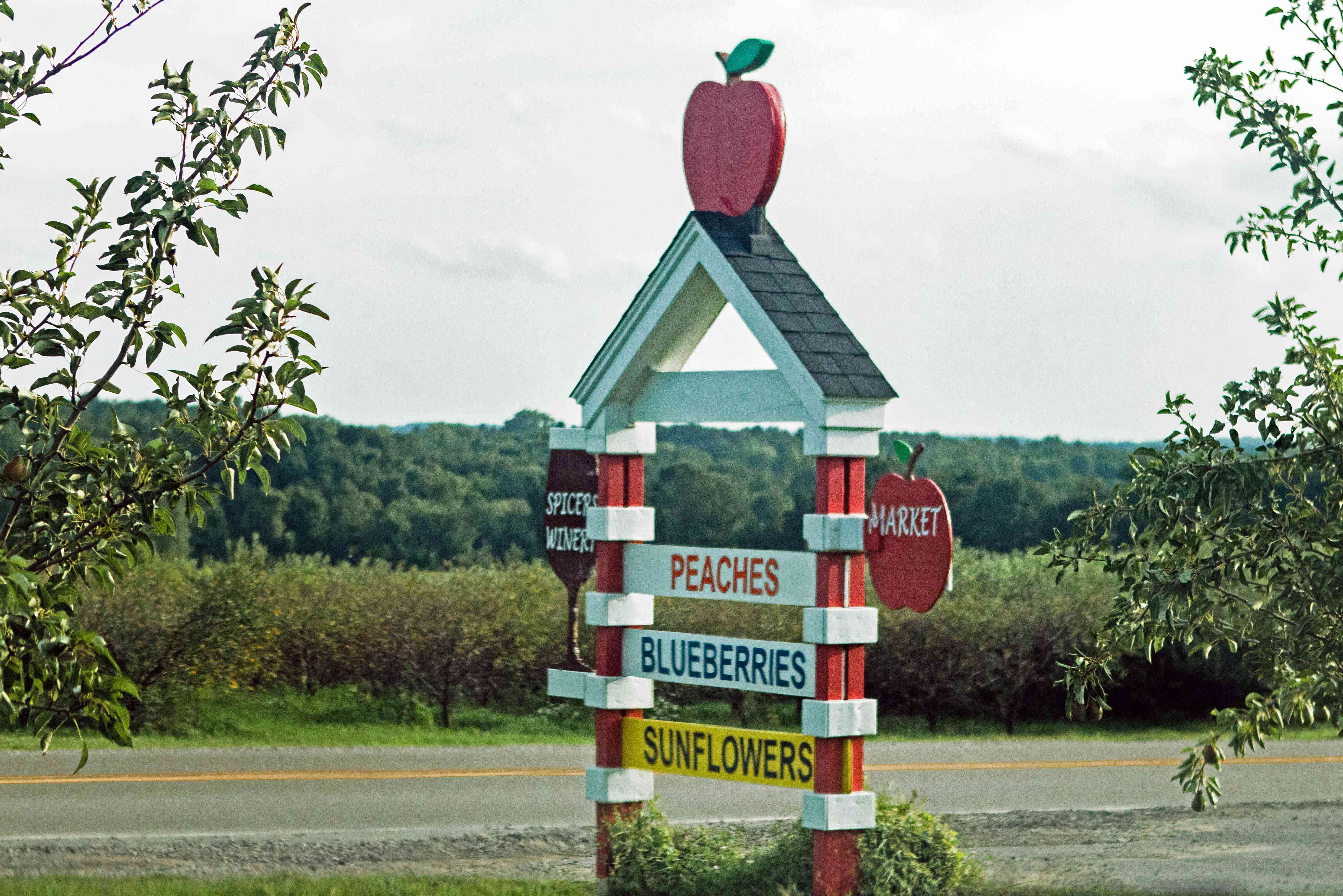 自制的木制农场标志路边出售桃子，蓝莓和向日葵