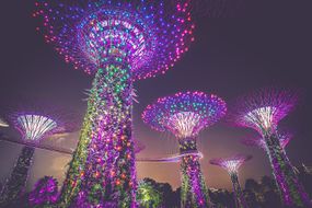 新加坡太阳能超级树的低角度视图＂width=