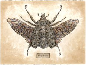珍贵的昆虫艺术系列Steeven Salvat