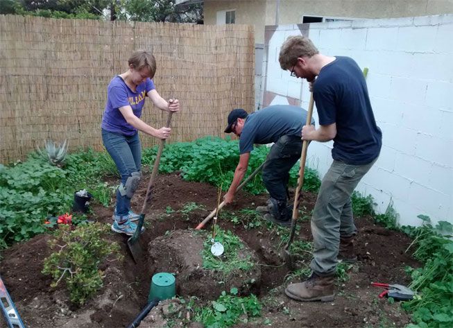 灰水行动的志愿者正在安装灰水灌溉系统
