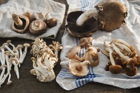 Foraged mushrooms laid out on a cloth on a wooden table