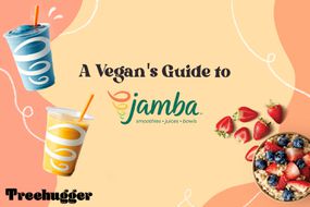 素食指南Jamba。冰沙，燕麦片等。