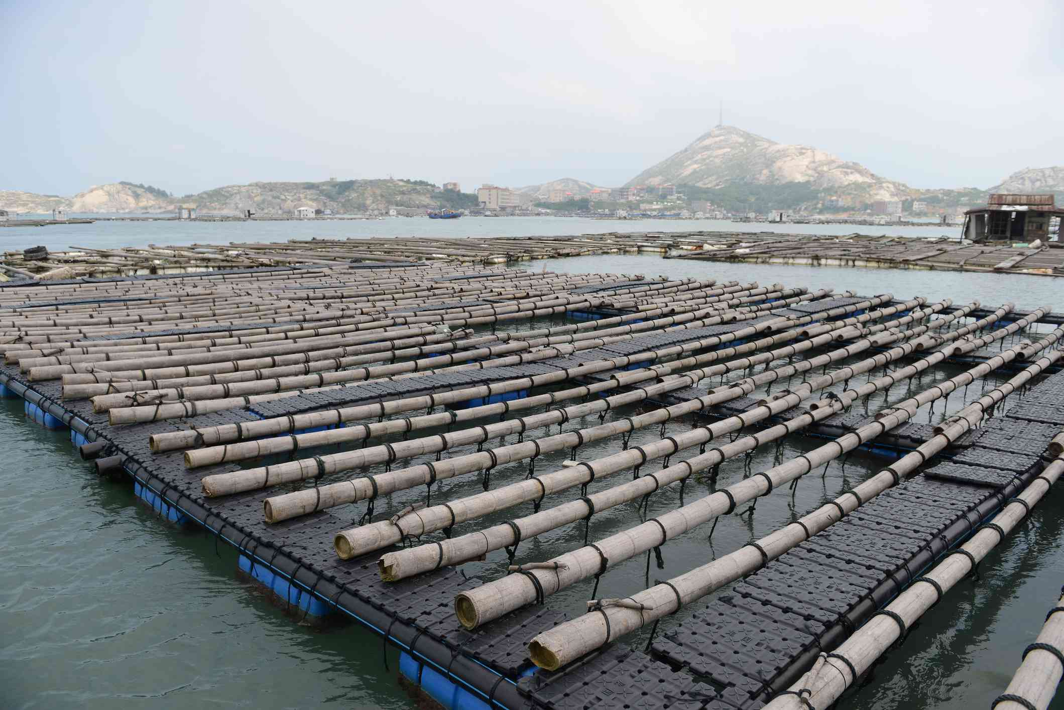 中国南里岛的大型鲍鱼养殖场＂width=