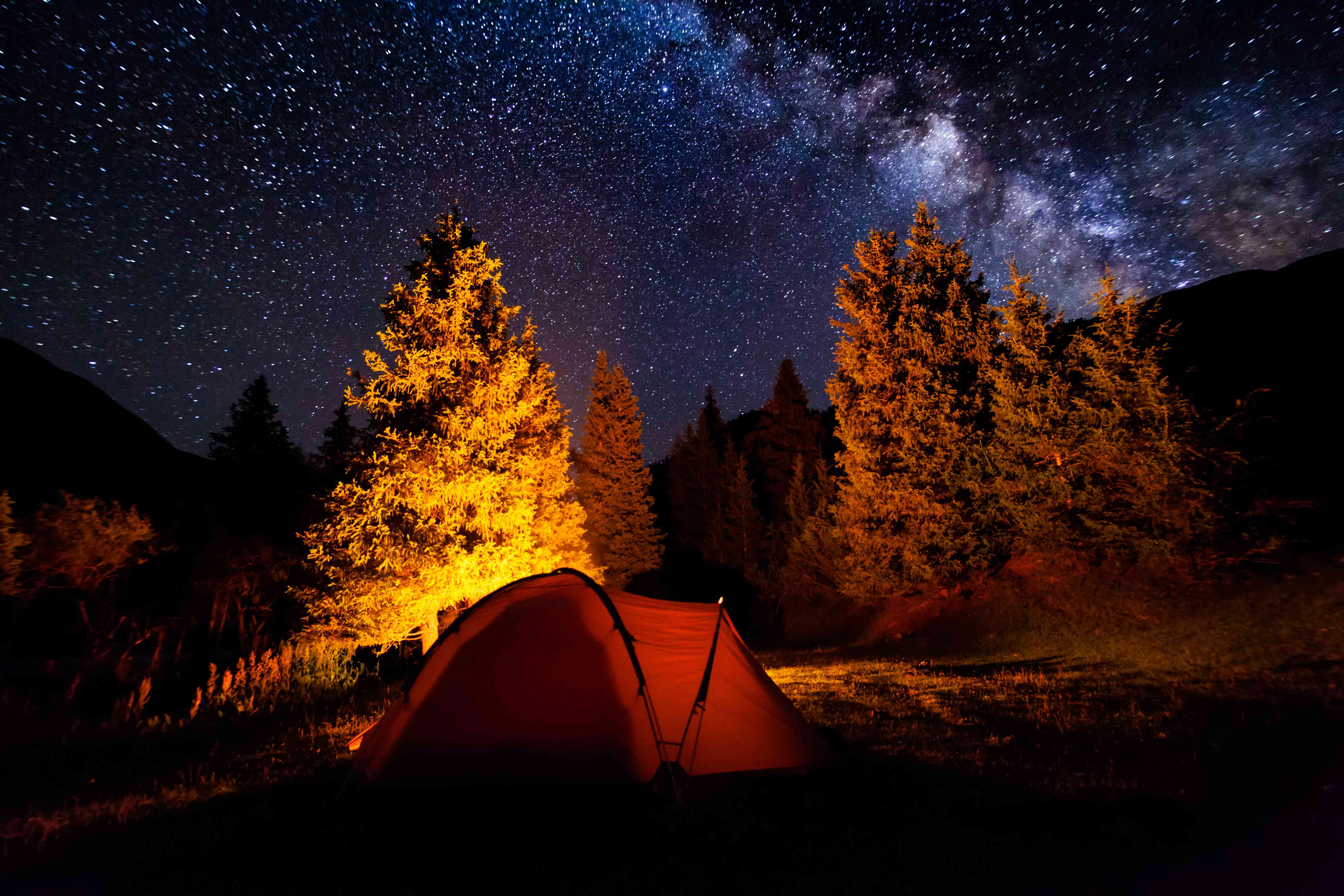 帐篷在篝火附近森林星夜的天空下”width=