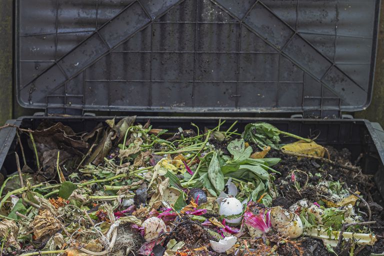 一个开放的家庭堆肥箱的特写，里面装满了来自厨房和花园的有机垃圾。