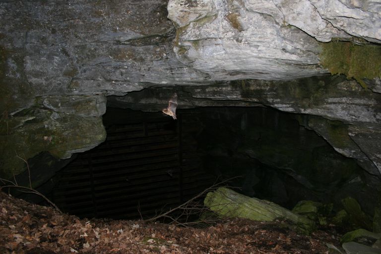 埃俄罗斯洞穴