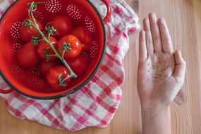 用红色滤锅盛一碗番茄，伸出手拿干番茄籽