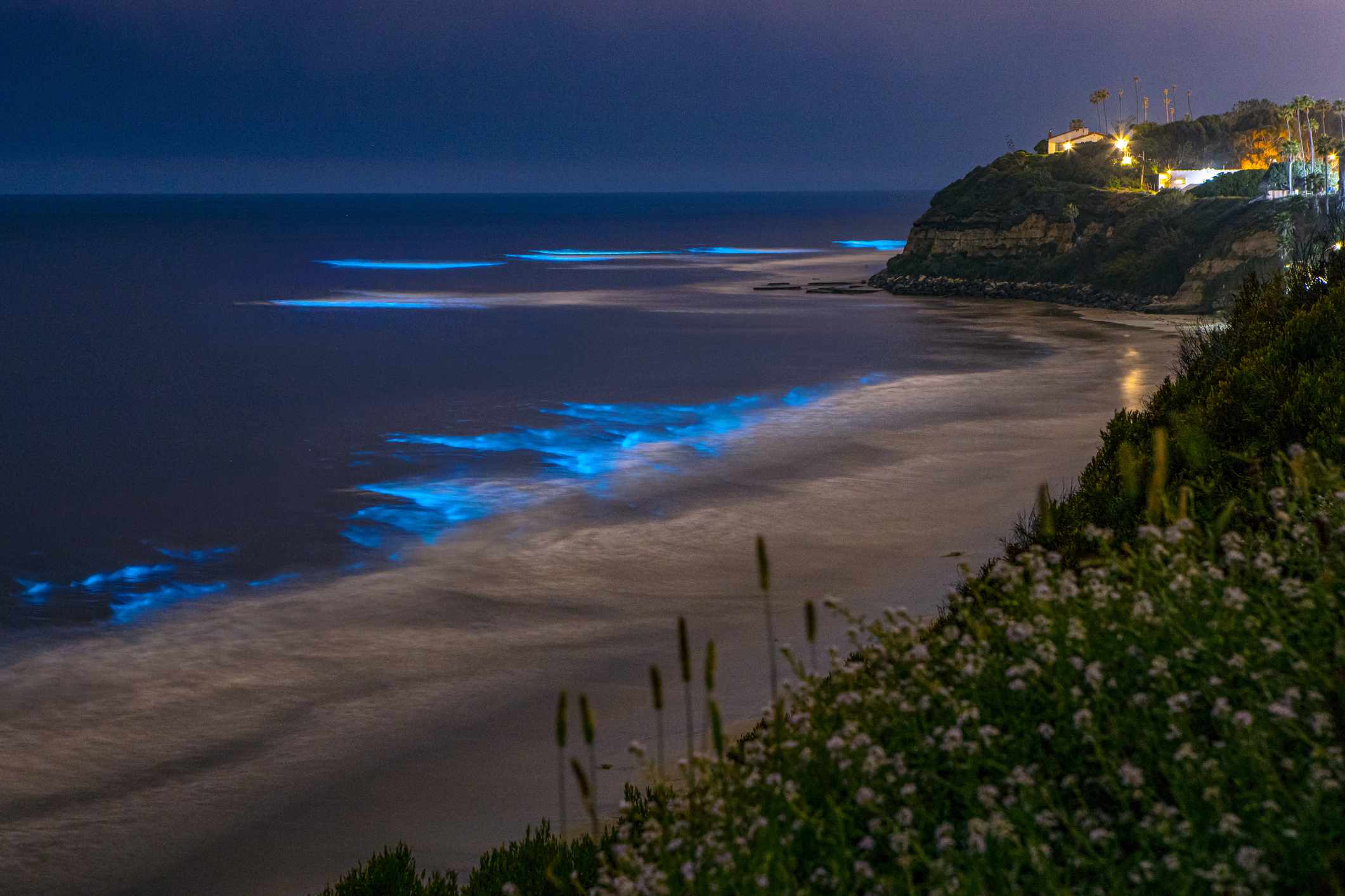 圣地亚哥海岸线海滩的生物发光，位于加利福尼亚州圣地亚哥恩西尼塔斯的斯瓦米斯海滩的夜晚。“width=