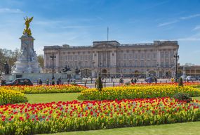 白金汉宫在背景中与上面蓝天和草坪围拢的红色和黄色开花的花床