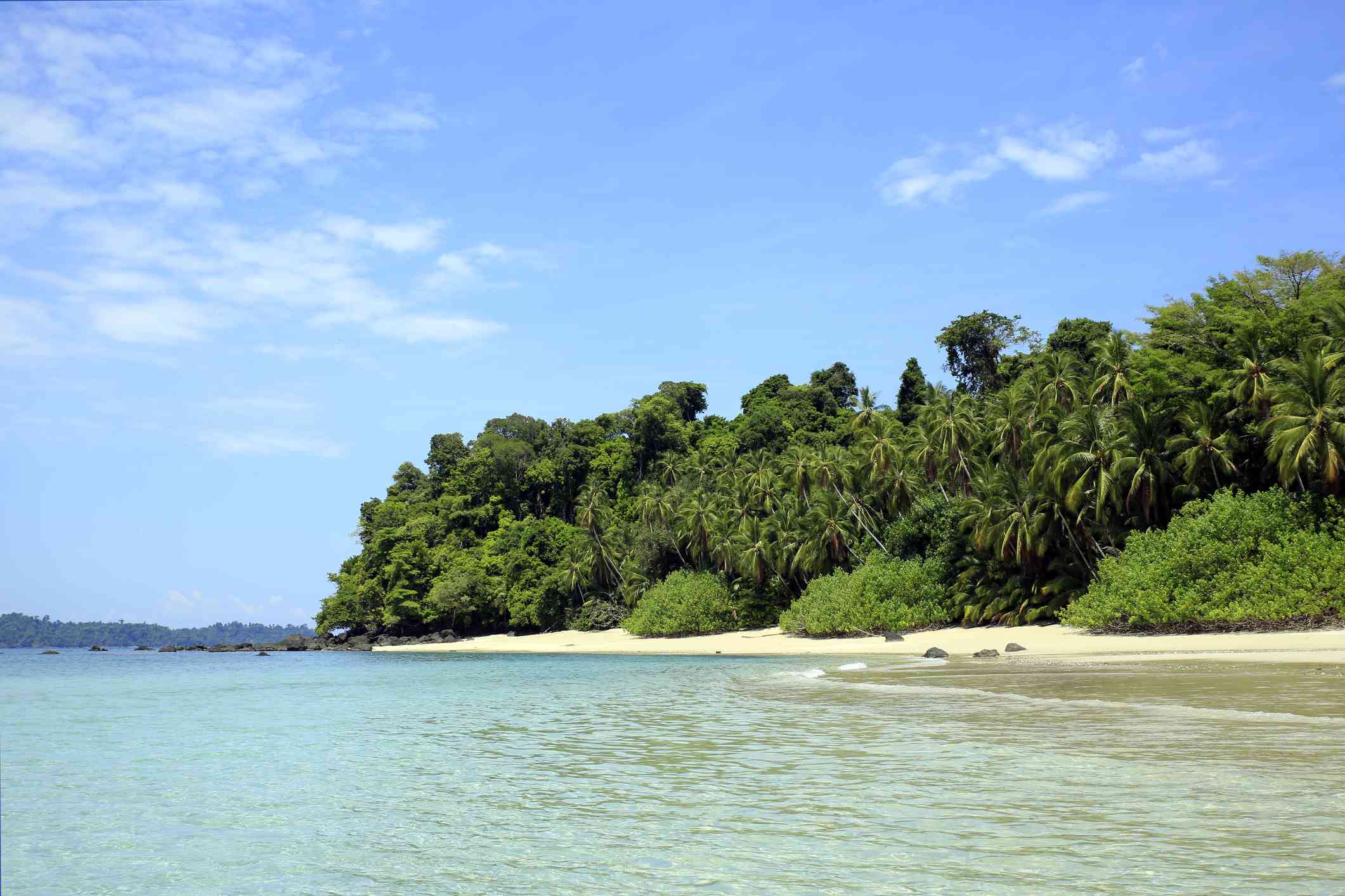 科伊巴岛海滩郁郁葱葱的绿色树木，沙子和淡蓝色的水