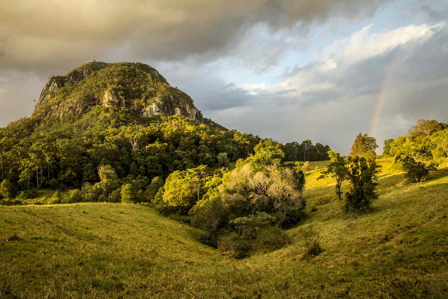 郁郁葱葱的绿树覆盖着库罗罗拉山，就像一道彩虹投射在山下的山丘上