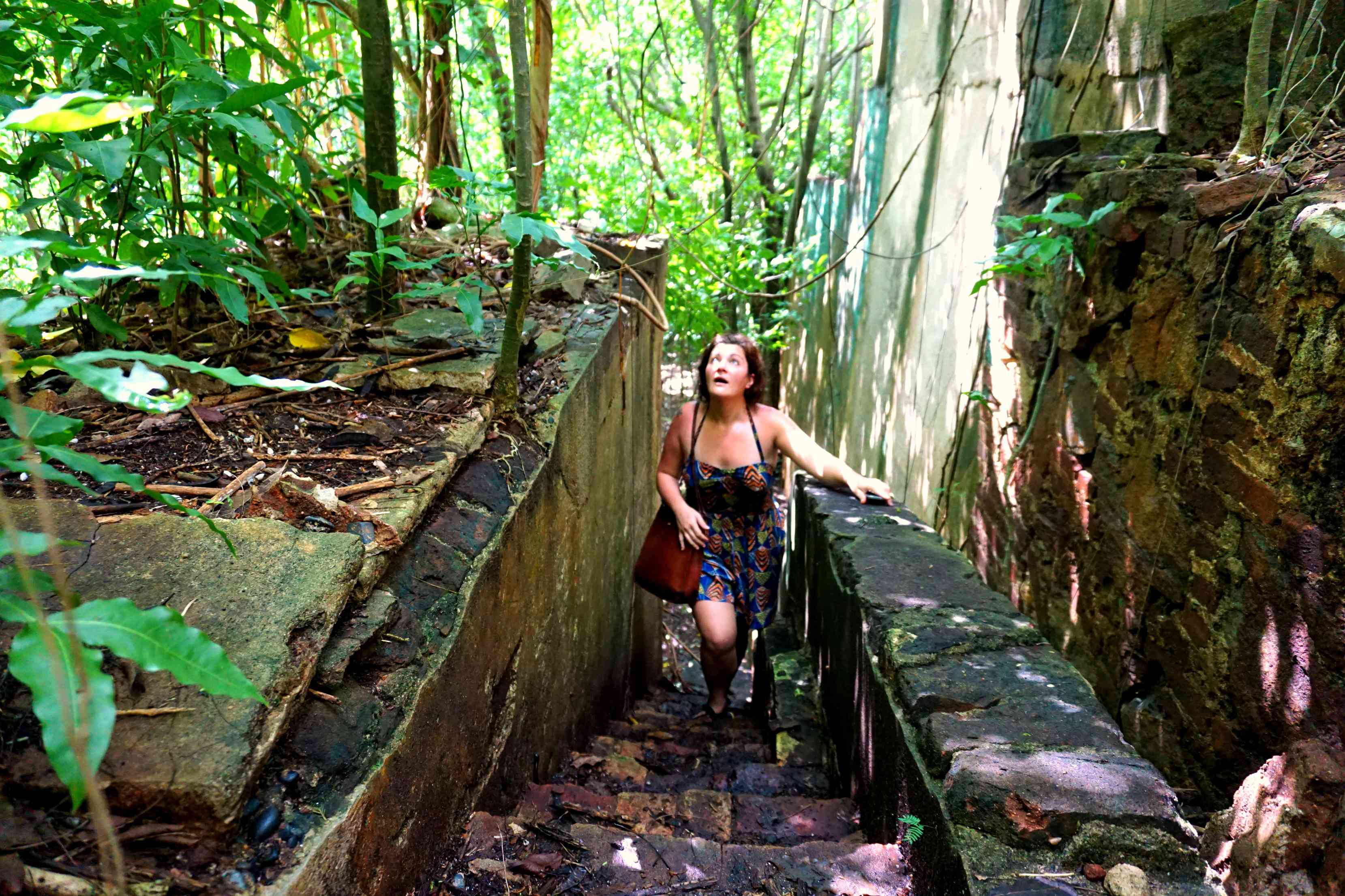 在别克斯岛的雨林中探索一个废弃的糖厂。