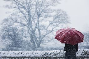 在暴风雪中打着伞的妇女